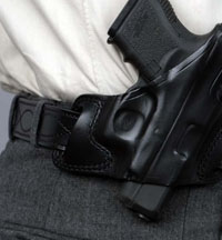 Firearms and Weapons Crimes 1 gun