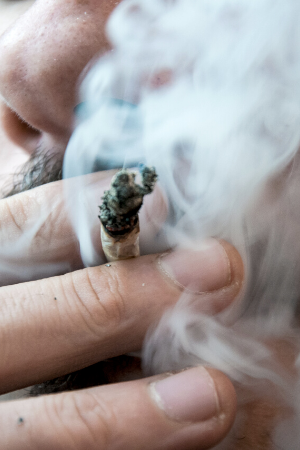 Marijuana Defense 2 Marijuana cigarette